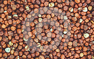 Hazelnuts background texture