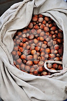 Hazelnuts in a bag