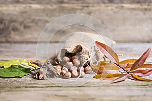 Hazelnuts on wooden table photo