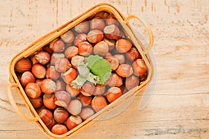 Hazelnuts in a basket .Nut abundance. Fresh harvest of hazelnuts.Farmed organic hazelnuts.