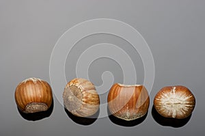 Hazelnuts on black background. With reflection and copy