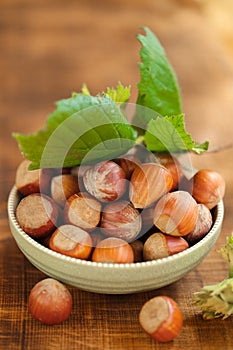 Hazelnuts bowl close-up on a wooden table. Farmed ripe hazelnuts. Nut abundance.Organic bio nuts. Healthy fats.