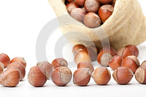 Hazelnuts in a burlap bag on white background