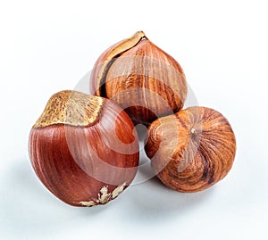 hazelnuts isolated white background close up