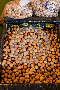 Hazelnuts at Detering Farm in Eugene Oregon photo
