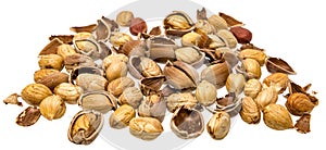 Hazelnuts cracked open with shells and hazelnut kernels