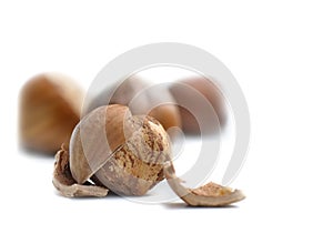 Hazelnuts