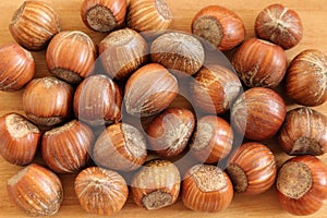 Hazelnuts or Filberts