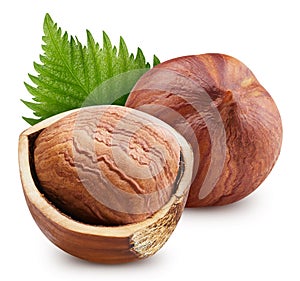 Hazelnuts full macro shoot food ingredient on white isolated