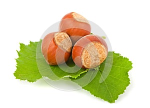 Hazelnuts with green leaves