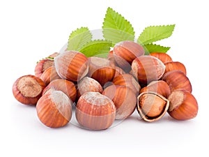 Hazelnuts with green leaves isolated on white background