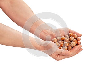 hazelnuts in hand path isolated