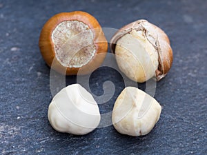 Hazelnuts hard shell to kernel concept