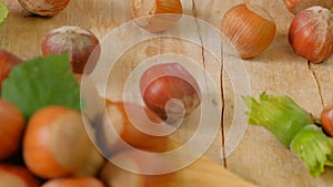 Hazelnuts harvest. Whole nuts close-up in a wooden cup on a wooden saw cut.Healthy fats. Farmed organic ripe hazelnuts