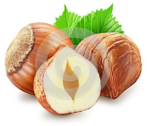 Hazelnuts, hazelnut kernel and green leaves on white background. Clipping path