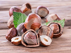 Hazelnuts and hazelnut leaves on the wooden table.