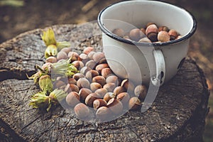 Hazelnuts