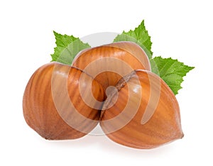 Hazelnuts isolated on white background