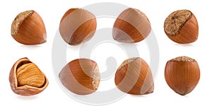 Hazelnuts isolated on white background