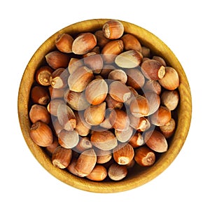 Hazelnuts isolated on white background
