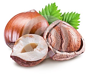 Hazelnuts, kernel of hazelnut and green leaves. Clipping path.