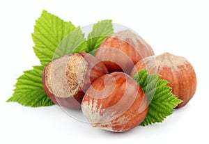 Hazelnuts with leafs