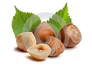 Hazelnuts and leafs on white background
