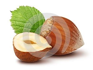 Hazelnuts and leafs on white background