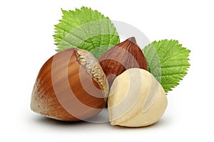 Hazelnuts and leafs on white background