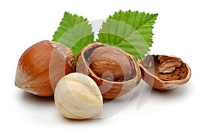 Hazelnuts and leafs on white background