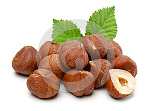 Hazelnuts and leafs on white background