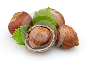 Hazelnuts with leaves