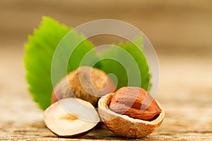 Hazelnuts with leaves on old wooden background.