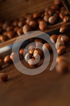 Hazelnuts in Motion Tumbling from Wooden Box