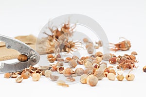 Hazelnuts with nut cracker on white background