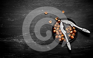 Hazelnuts with Nutcracker on the old plate.