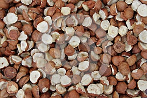 Hazelnuts. Raw Hazelnuts. Nuts. Fresh organic Raw nuts. Hazelnuts texture and background
