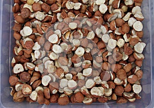 Hazelnuts. Raw Hazelnuts. Nuts. Fresh organic Raw nuts. Hazelnuts texture and background