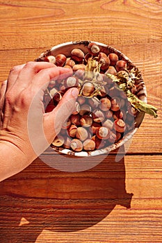 Hazelnuts in porcelain bowl on rustic wooden background. Raw fresh homegrowing nuts from house garden, weight loss diet