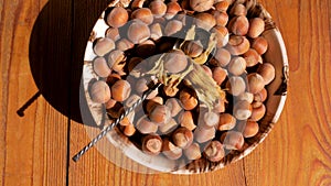 Hazelnuts in porcelain bowl on rustic wooden background. Raw fresh homegrowing nuts from house garden, weight loss diet