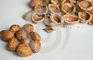 Hazelnuts and it`s shucks photo