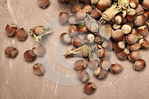 hazelnuts scattered on the table close-up copy space