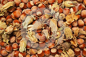 hazelnuts scattered on the table close-up copy space