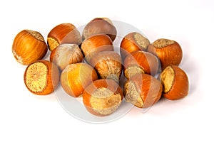 Hazelnuts in shell