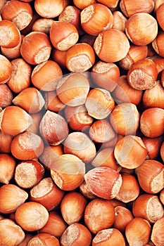 Hazelnuts In A Shell Background