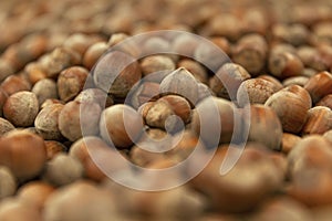 Hazelnuts in shell on the counter. Eco products and proper nutrition. Close-up. Selective focus. Background. Space for text