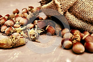 hazelnuts spilled on the table from a canvas bag close-up