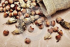 Hazelnuts spilled on the table from a canvas bag close-up