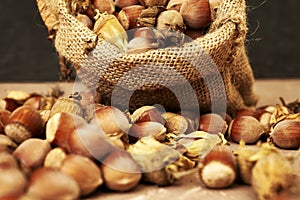 hazelnuts spilled on the table from a canvas bag close-up