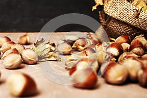 hazelnuts spilled on the table from a canvas bag close-up